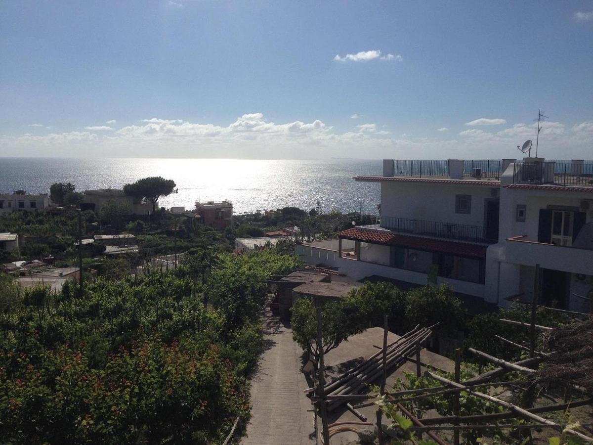 Hotel Villa Cimmentorosso Forio di Ischia Esterno foto