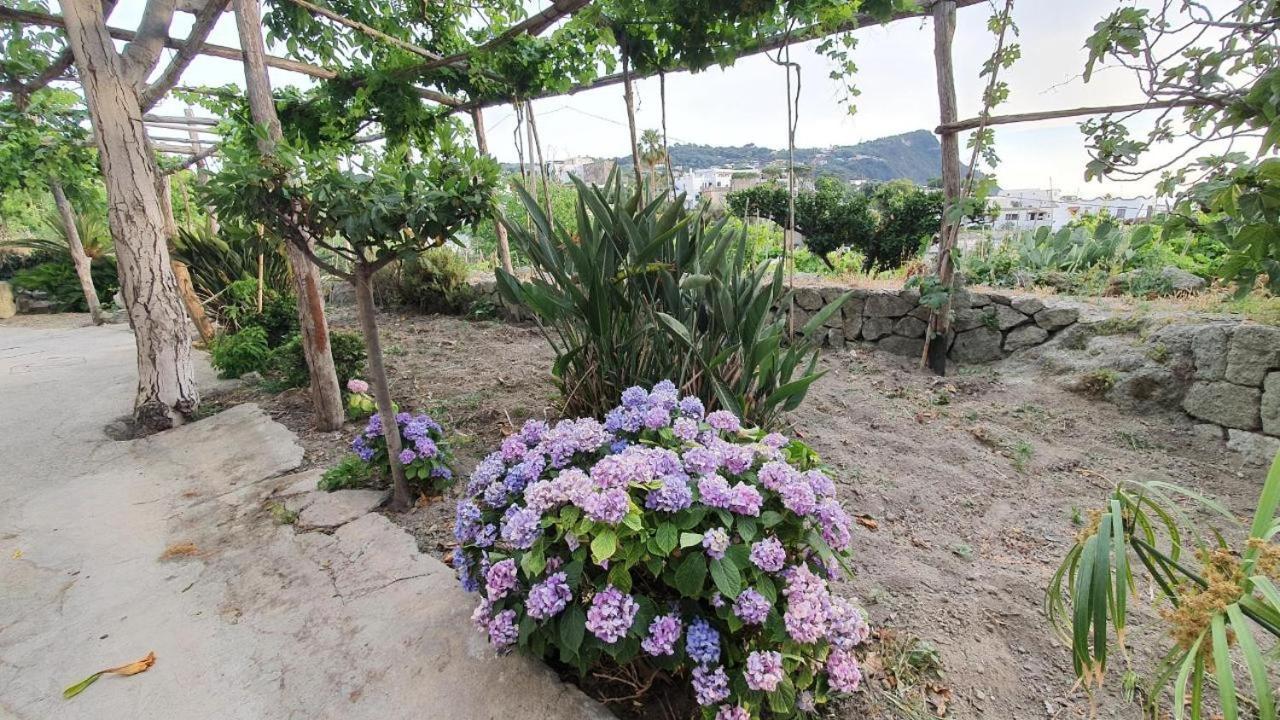 Hotel Villa Cimmentorosso Forio di Ischia Esterno foto