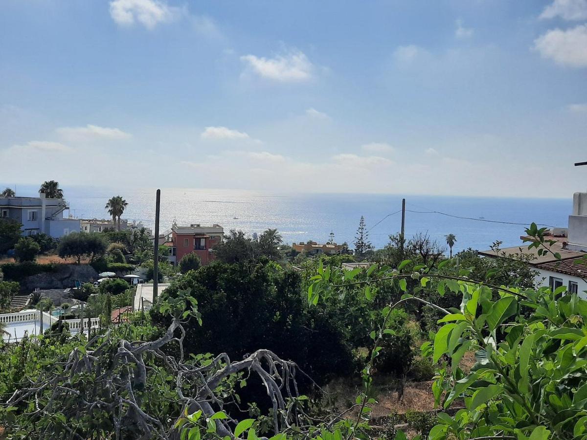 Hotel Villa Cimmentorosso Forio di Ischia Esterno foto